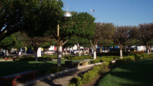 Von nidrigen Hecken begrenzter Weg im Park, dahinter ein paar Bäume. Durch die Bäume sieht man die beiden Rondelle , die den Park umgeben.